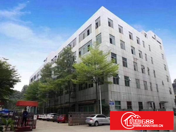 坂田五和大道旁带装修3000平米厂房出租