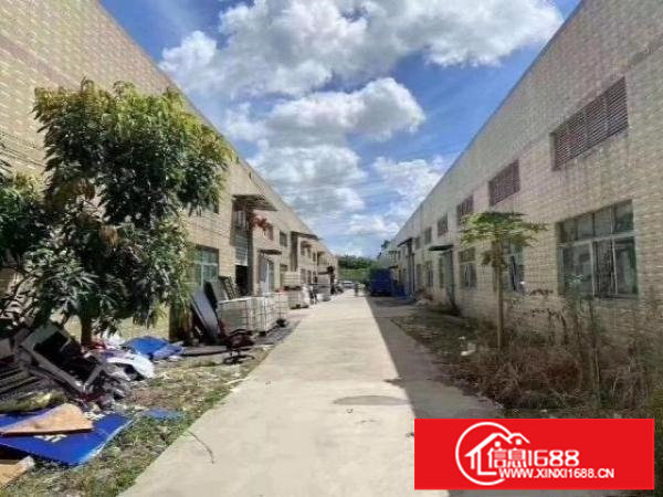 大水田1楼厂房1690平方