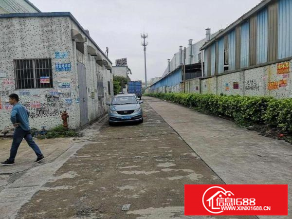 独门独院靓盘出租，交通方便，配套齐全。