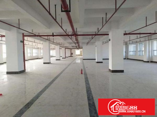 布吉丹竹头高新科技园新出6800平招租.可分租