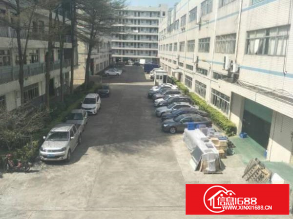 坪山原房东1300平厂房招租