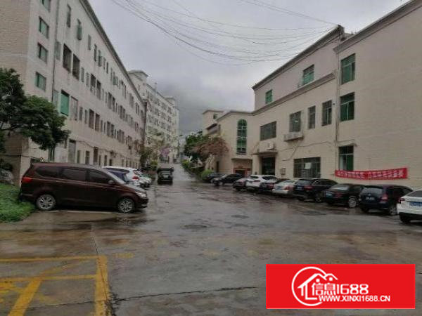 出租宝安区西乡黄麻布勒竹角村鹏龙工业区