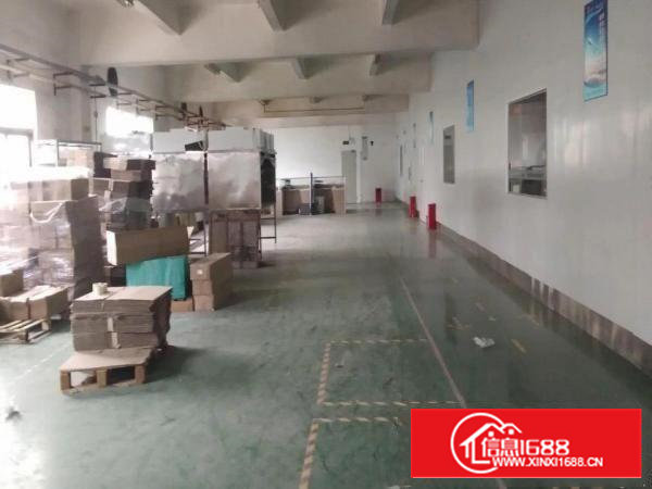 沙井G107附近新出450标准厂房