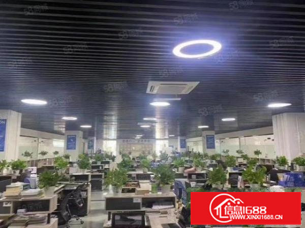 厂房龙岗坪地无尘车间3500平标准楼上厂房