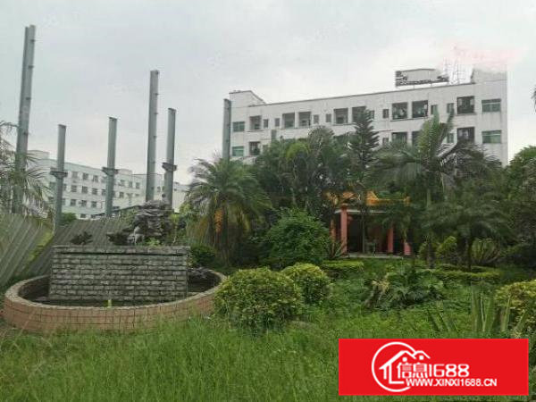 横沥镇大型工业聚集地新空出空地大形象好大面积厂房出租