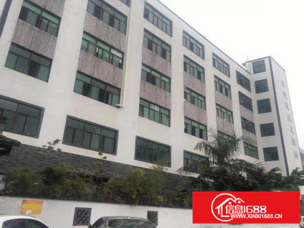 民治地铁口新出跨境电商园900平带装修厂房出租