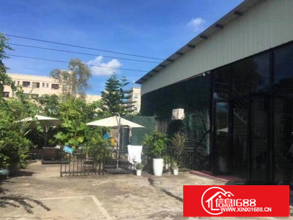 展厅摄影办公客户看过来，横岗新出厂房1200全新装修