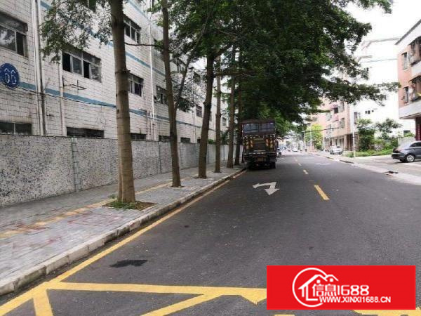 坑梓宝红路12-1厂房3000平可分租