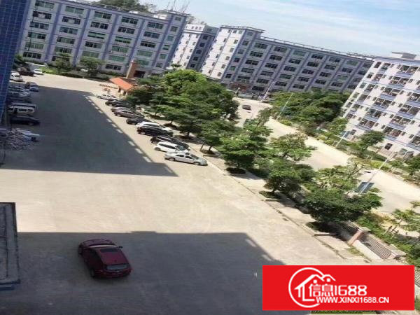 上雪科技园楼上200平500平1000平，电商外贸仓库等出租