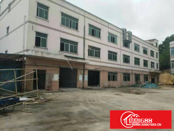 惠阳新圩新出独门独院7500平米平价出租