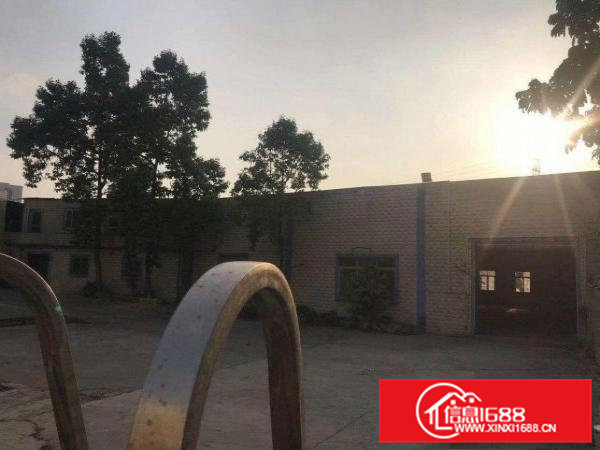 大岭山原房东独院单一层厂房2500平6.5米