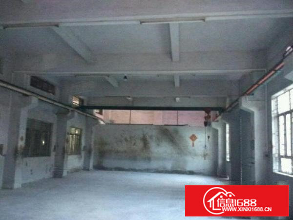 石排谷吓带行车一楼450平方出租