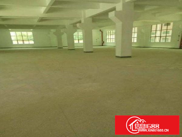 沥林独门独院形象好标准三层厂房6000平方