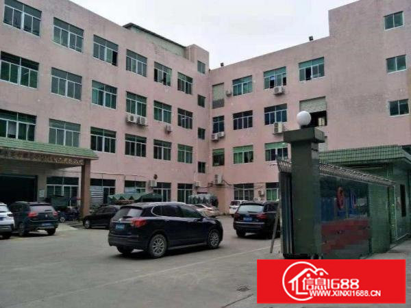 新区新出二楼厂房915平方米，出租！！