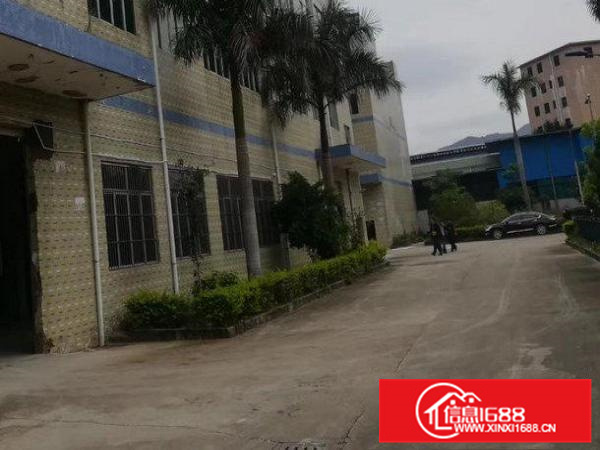 博罗福田新出无公摊一楼厂房1350平出租可分租