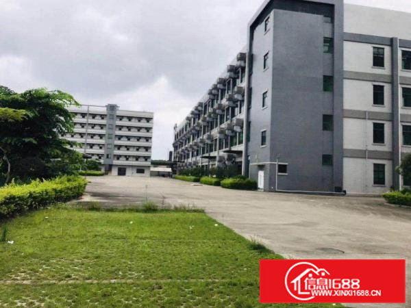 大朗松山湖旁边红本厂房厂房出租，总占地28亩