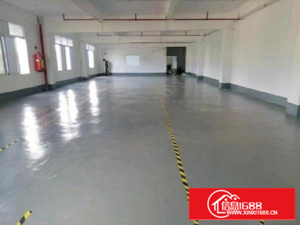 西乡，铁岗大型工业园，楼上带装修700平，厂房仓库出租