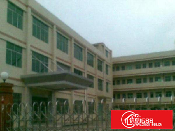 高埗新出一楼厂房1300平方米,水电齐全,带装修