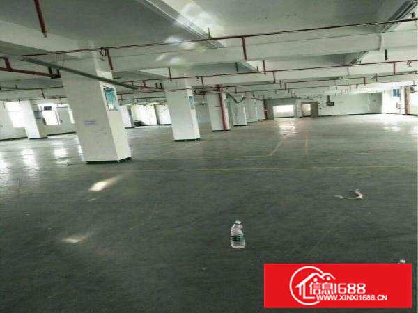 仲恺惠环陈江小独院厂房出租