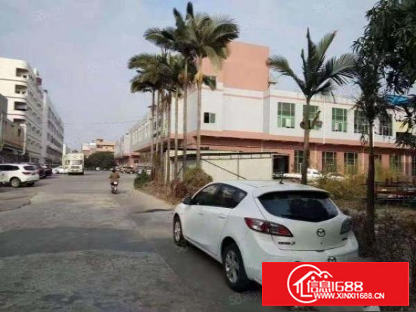 长安沙头新出二楼一整层无尘车间5600平！