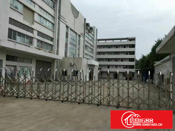 常平独院厂房带喷淋消防厂房出租