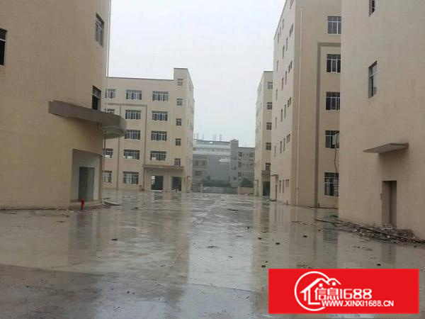 潼侨8万平米一楼层高5.5米空地大全新标准厂房出租