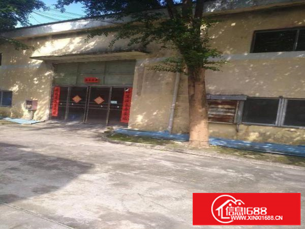 约场原房东刚建好单一层1000平方厂房