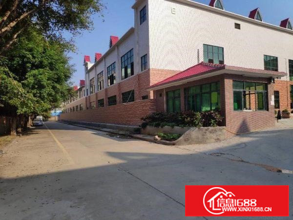 虎门新出豪华独栋厂房直租