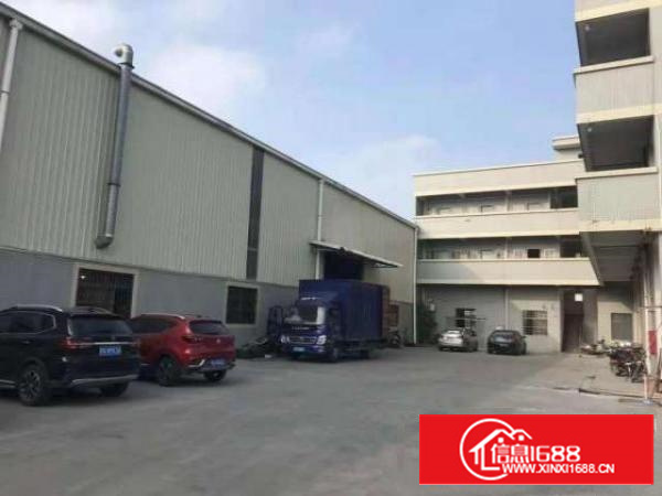 万江大小型厂房仓库招租信息/东莞单层厂房招租