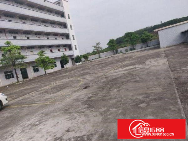 塘尾厂房650平出租，独立厂房整层面积，免转让