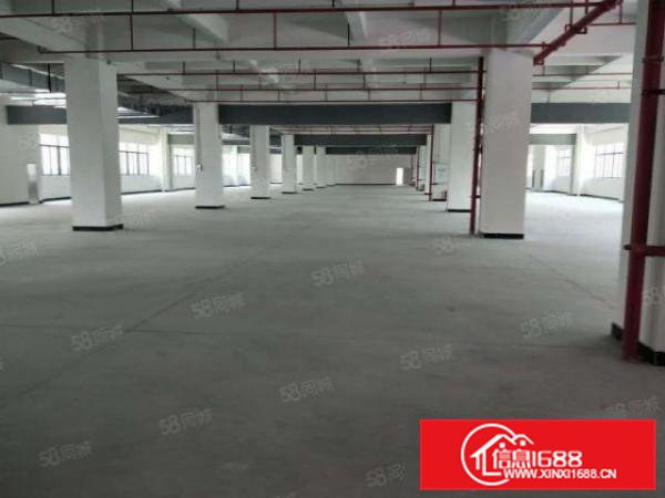 桥头新出原房东现成消防喷淋！化工paizhao证件！厂房