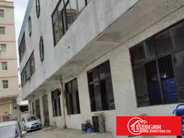 石排标准厂房1000方出租！现成办公室！位置佳！