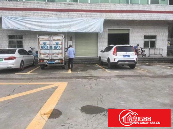 龙华鹊山路口新出一楼180平标准厂房带装修出租