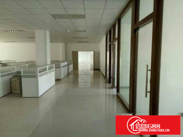 高埗新出标准独院厂房，豪华装修