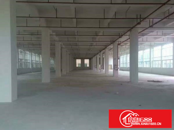 白泥坑花园式独院厂房3100平方火爆出租大小可分租