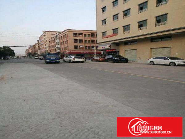 大朗镇洋乌村新建独栋厂房有电梯