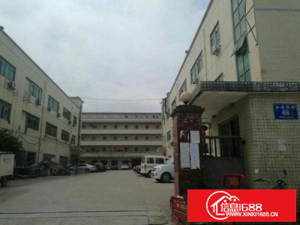 坪山石井独院厂房3000平方带精装修出租