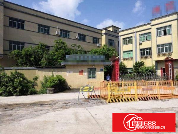 松木山原房东标准厂房一楼900平方米出租