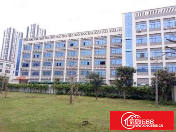 坪山石井金田路边全新厂房1000平米招租周边配套齐