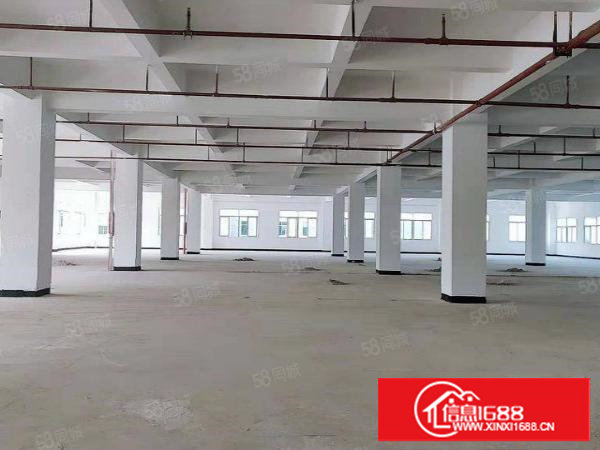 常平木棆工业区厂房出租整栋厂房整租分租交通便利