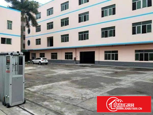 万江工业区标准一楼1000平方招租水电齐全