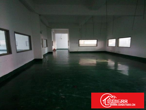 观澜新塘福前路14层每层750平米出租有装修