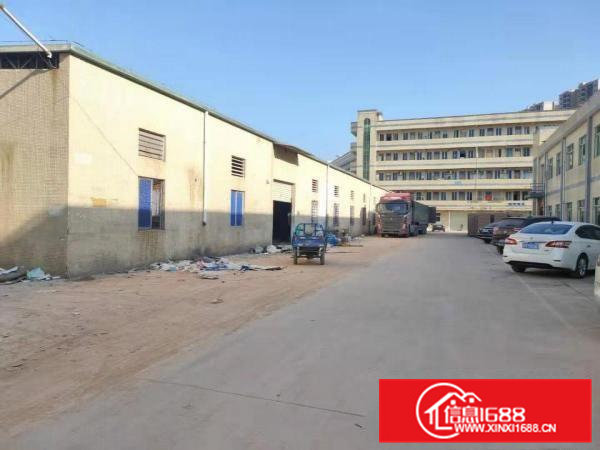 大朗大井头新出独院单一层钢构厂房滴水6米3400平方出租