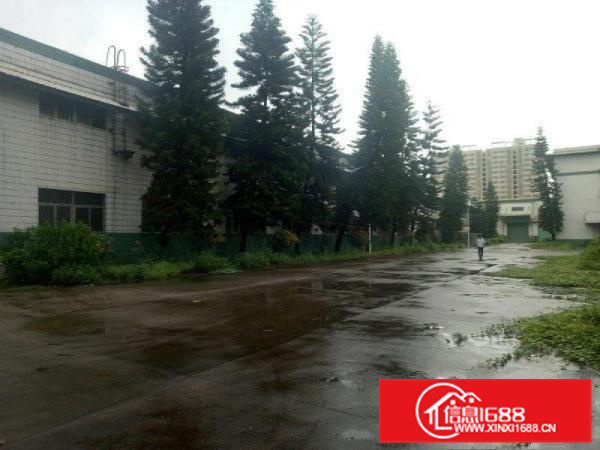 新圩高速出口钢构7000平，高8米出租