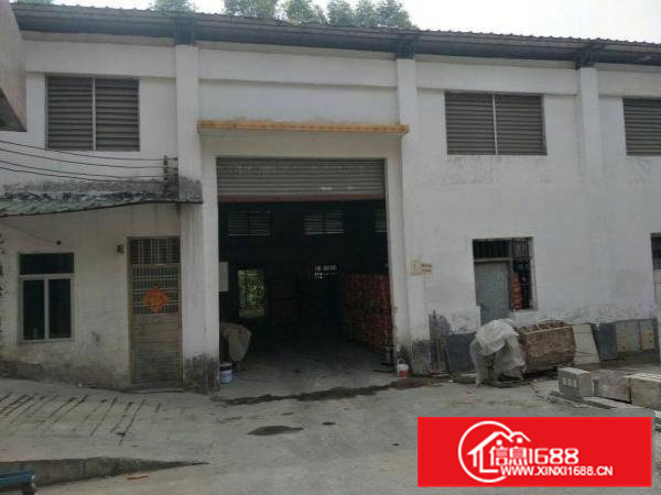 高埗单一层钢构厂房出租8米高仅租16元