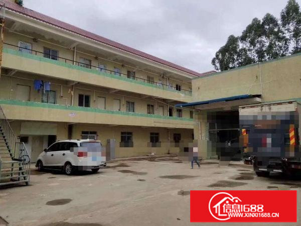 清溪九乡独院钢构厂房出租3000平米适合塑胶五金打包纸箱