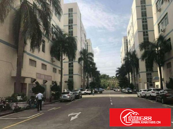 龙岗中心城新出独院面积6000平;大小面积可分