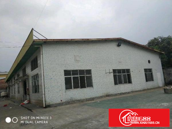 常平新出独门独院厂房厂房2200平米