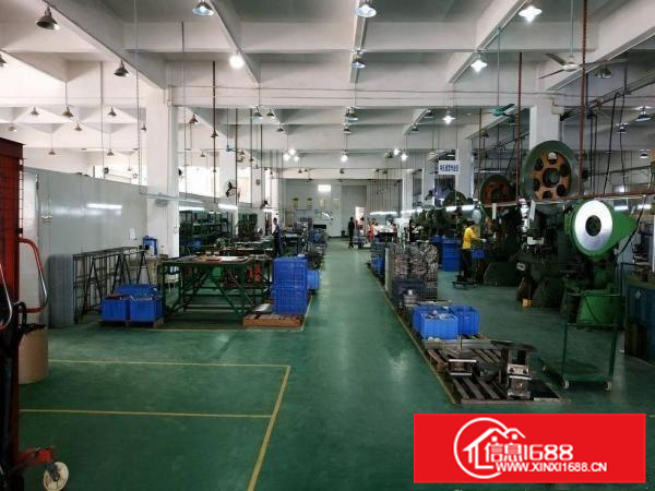 新圩镇原房东红本独院厂房7890平方证件齐全可办环评