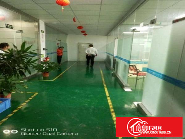 坪山石井惊现12元带精装修厂房无装让费招租